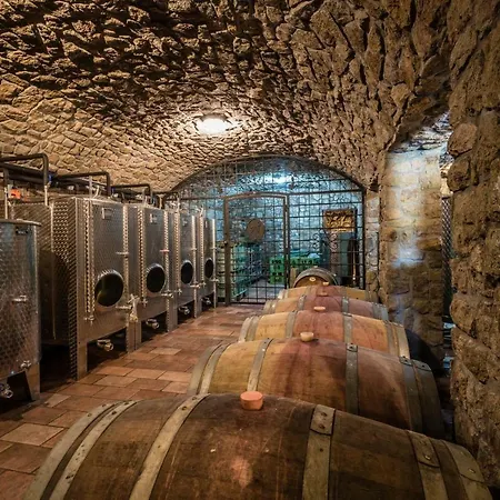 Chata Pod Vinicami Hétvégi ház Szelepcsény