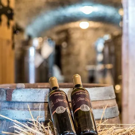 Chata Pod Vinicami Szelepcsény