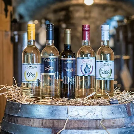 Chata Pod Vinicami * Szelepcsény