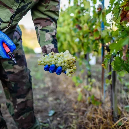 Chata Pod Vinicami Hétvégi ház *