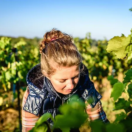 Chata Pod Vinicami Hétvégi ház Szelepcsény