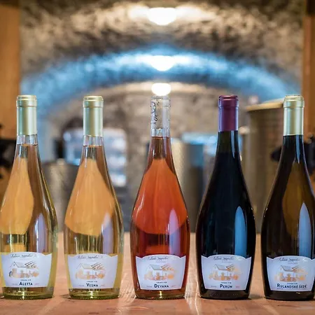 Hétvégi ház Chata Pod Vinicami *
