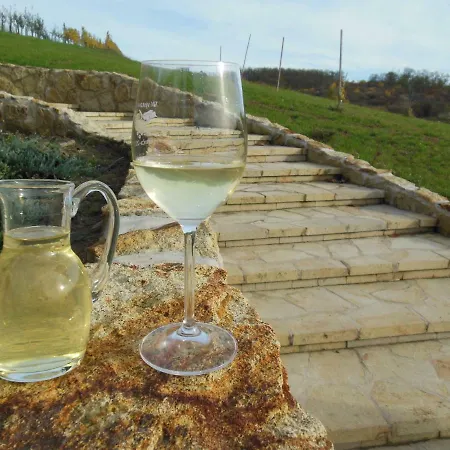 Hétvégi ház Chata Pod Vinicami *