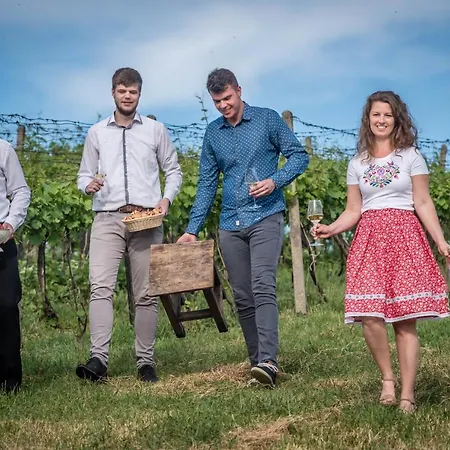 Hétvégi ház Chata Pod Vinicami